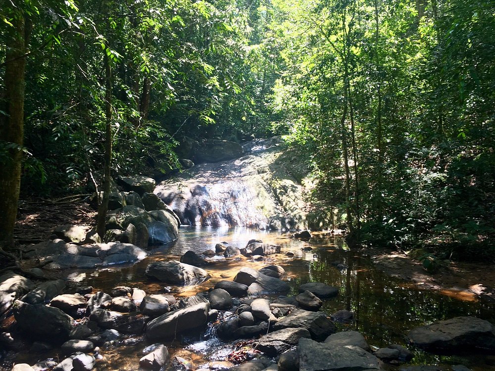 SINHARAJA NATIONAL PARK